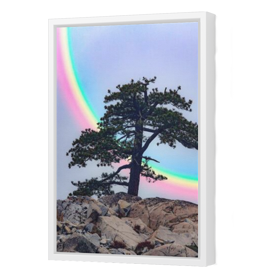 Thumbnail for Canvas - White Floating Frame