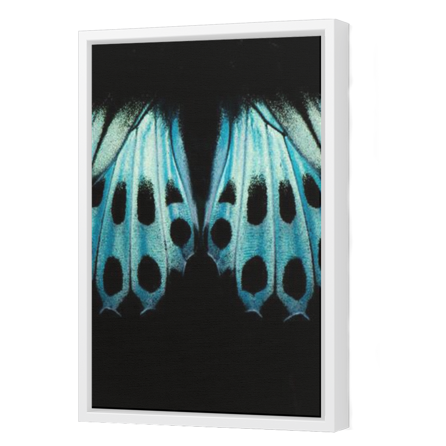 Thumbnail for Canvas - White Floating Frame