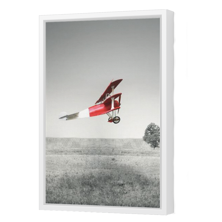 Thumbnail for Canvas - White Floating Frame