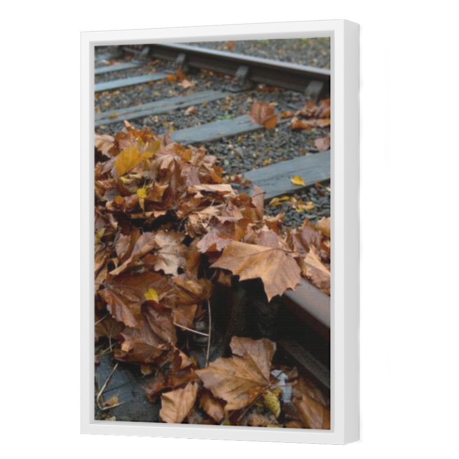 Thumbnail for Canvas - White Floating Frame