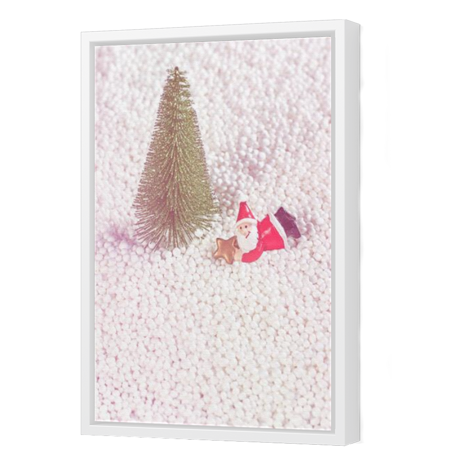 Thumbnail for Canvas - White Floating Frame