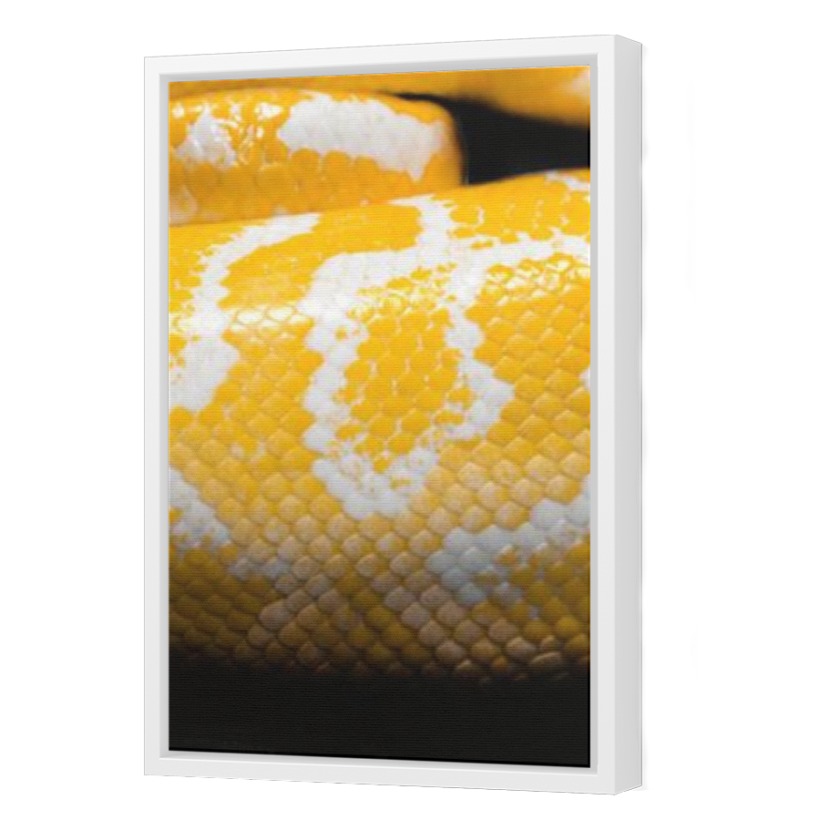 Thumbnail for Canvas - White Floating Frame
