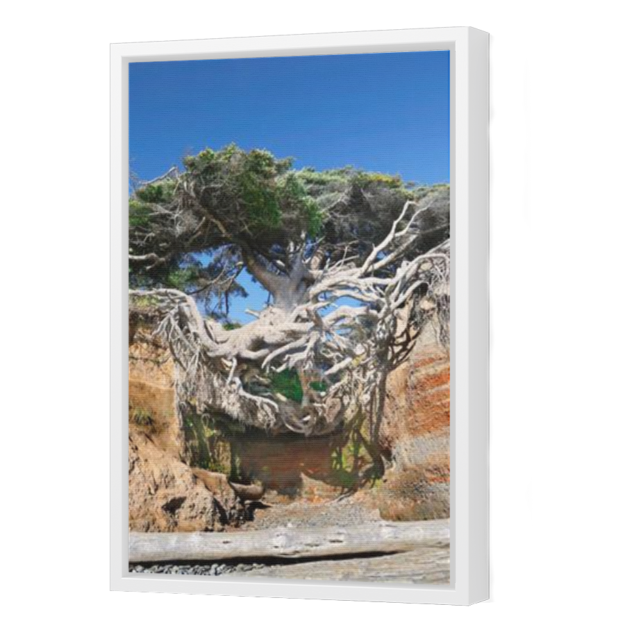 Thumbnail for Canvas - White Floating Frame