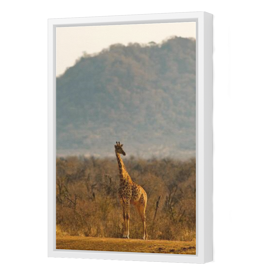 Thumbnail for Canvas - White Floating Frame