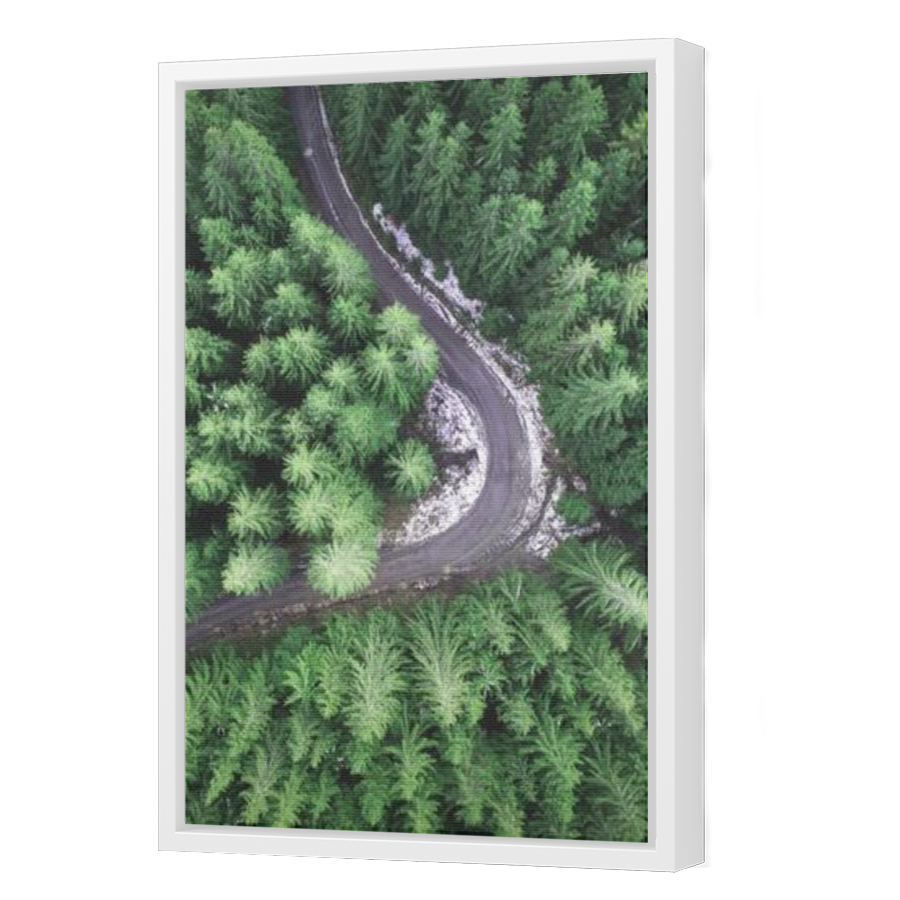 Thumbnail for Canvas - White Floating Frame