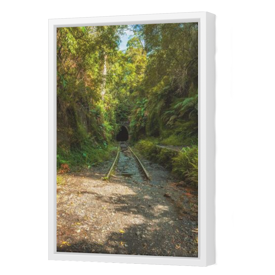 Thumbnail for Canvas - White Floating Frame