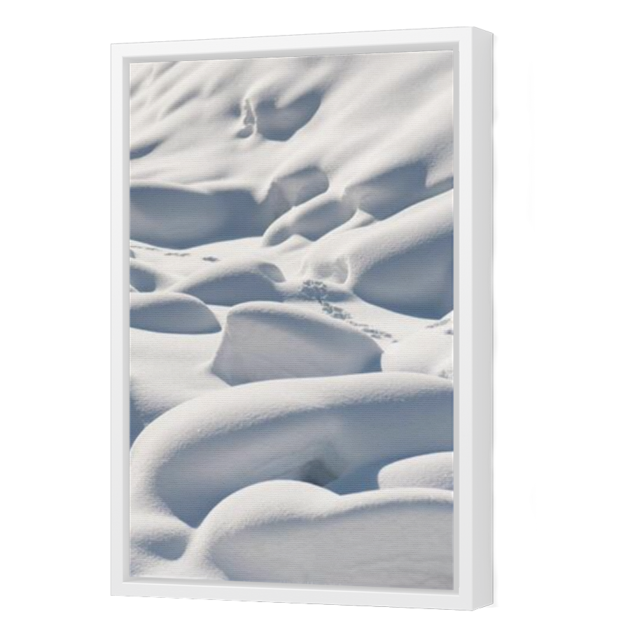 Thumbnail for Canvas - White Floating Frame