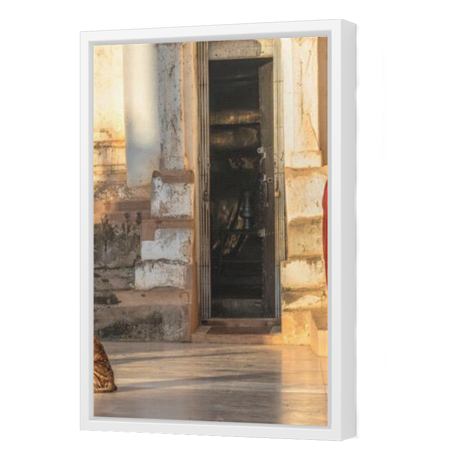 Thumbnail for Canvas - White Floating Frame