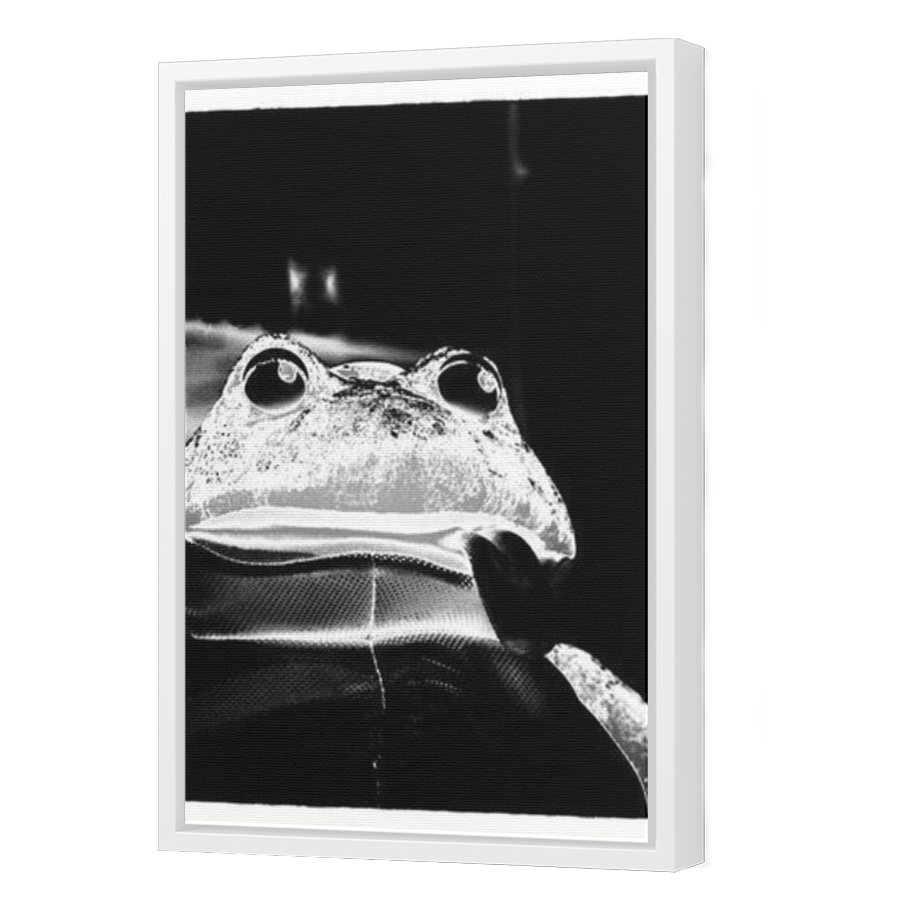 Thumbnail for Canvas - White Floating Frame