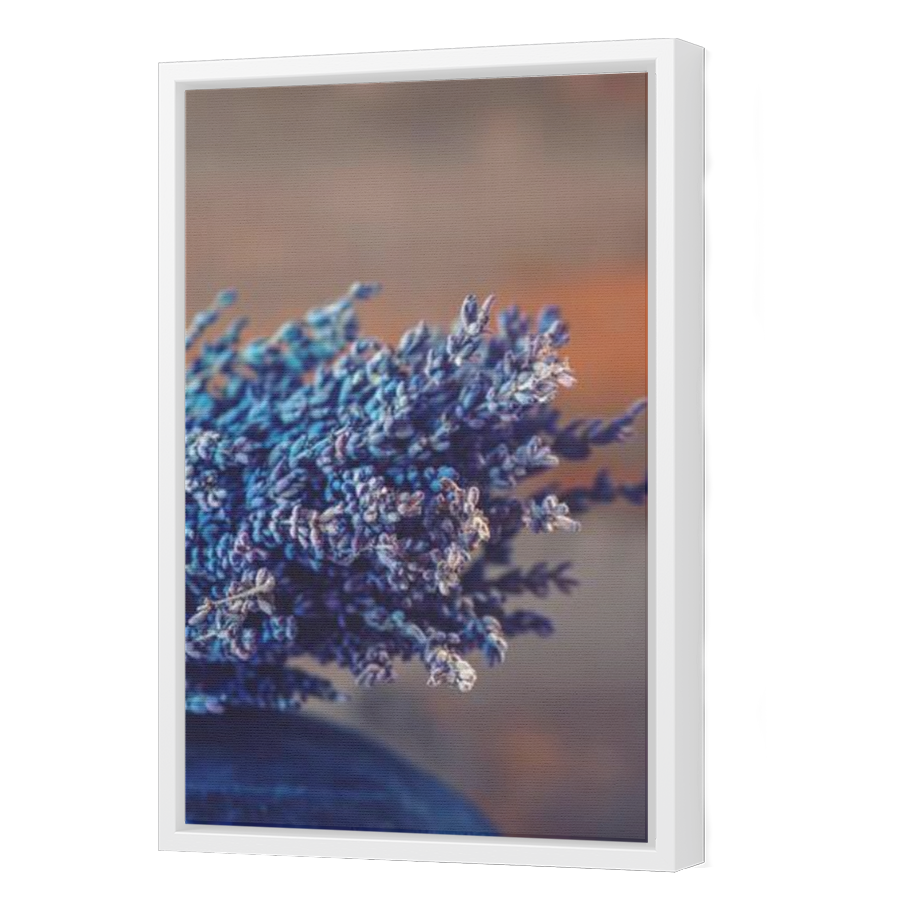 Thumbnail for Canvas - White Floating Frame