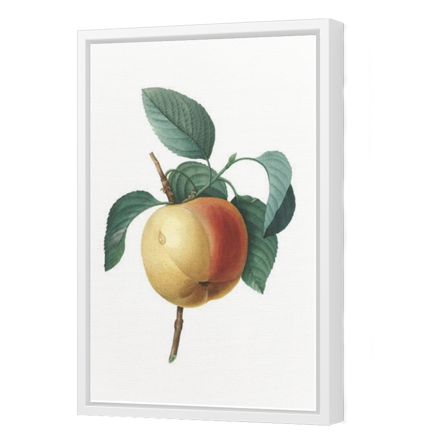 Thumbnail for Canvas - White Floating Frame