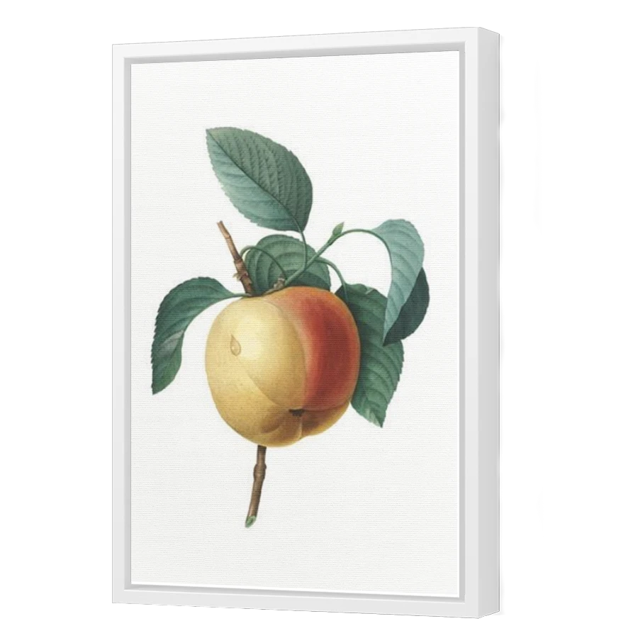 Thumbnail for Canvas - White Floating Frame