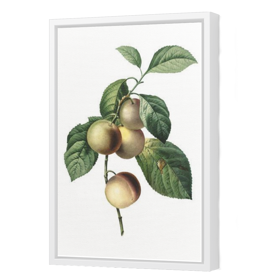 Thumbnail for Canvas - White Floating Frame