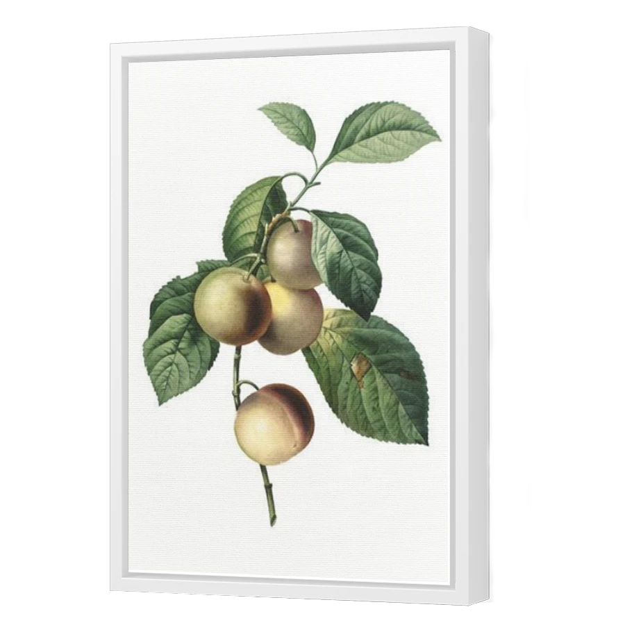 Thumbnail for Canvas - White Floating Frame