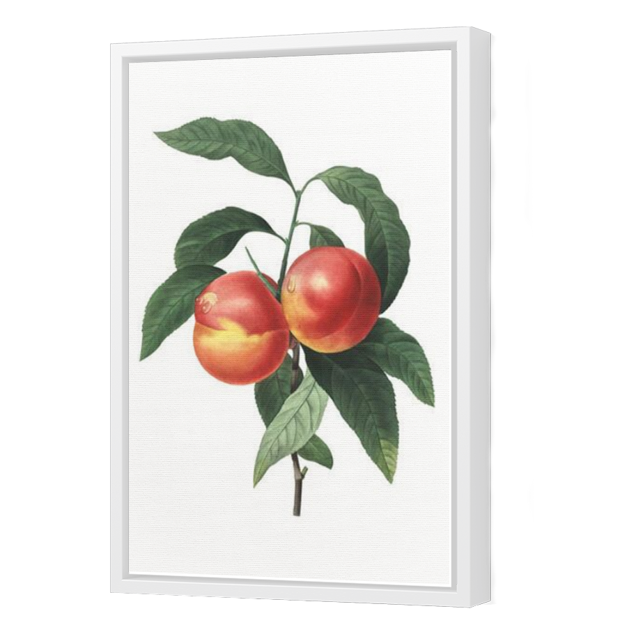 Thumbnail for Canvas - White Floating Frame