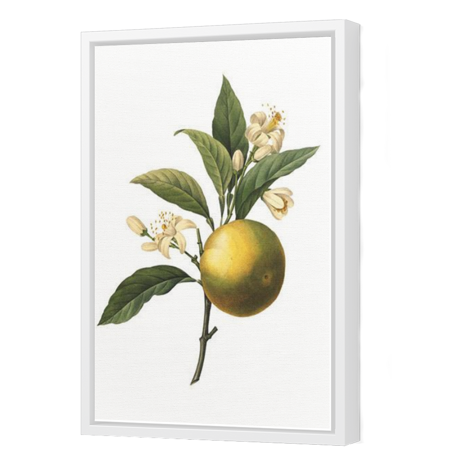 Thumbnail for Canvas - White Floating Frame