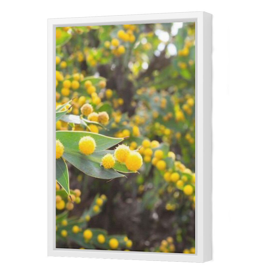 Thumbnail for Canvas - White Floating Frame