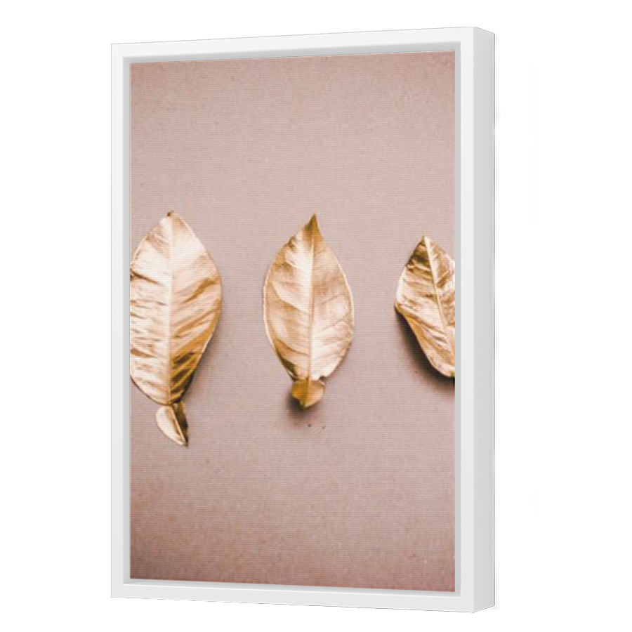 Thumbnail for Canvas - White Floating Frame