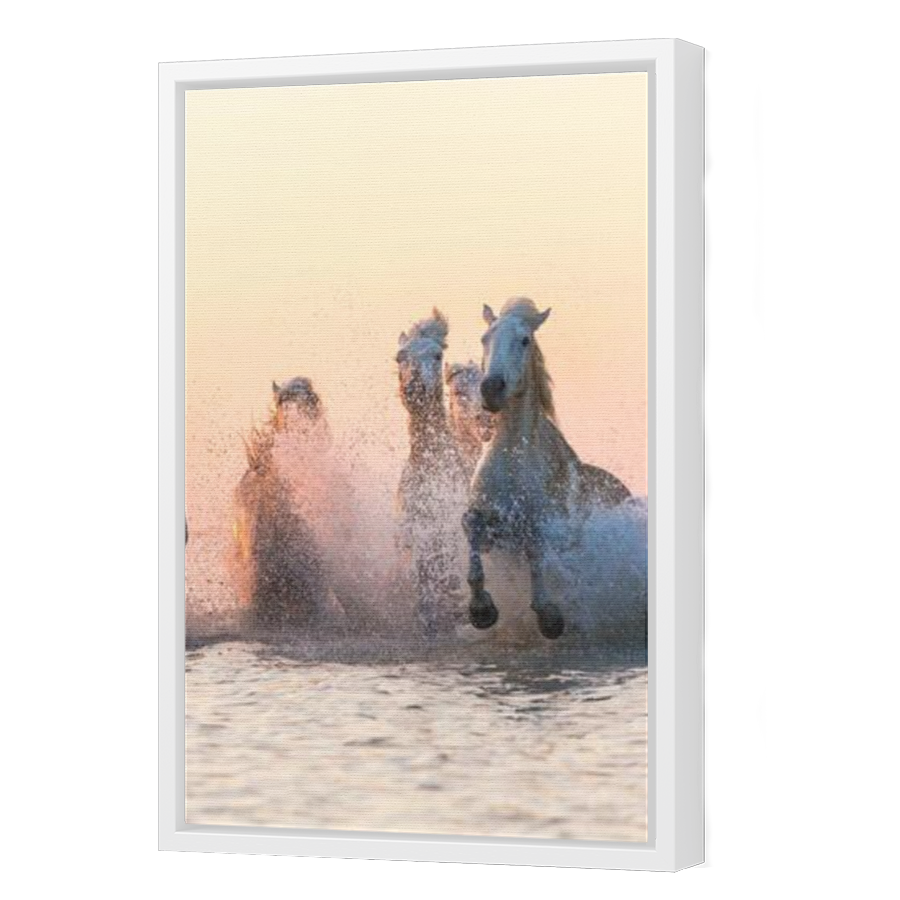 Thumbnail for Canvas - White Floating Frame