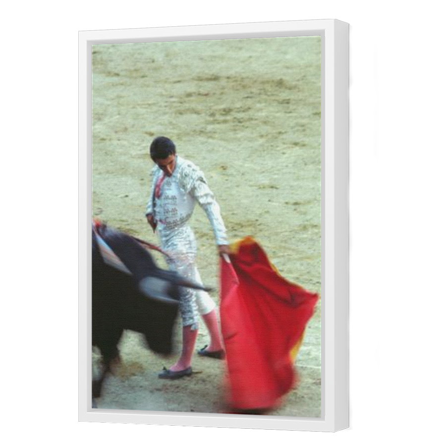 Thumbnail for Canvas - White Floating Frame