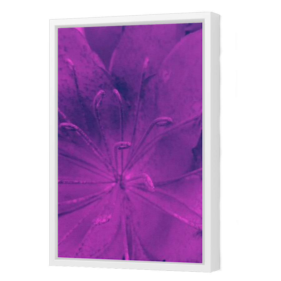 Thumbnail for Canvas - White Floating Frame