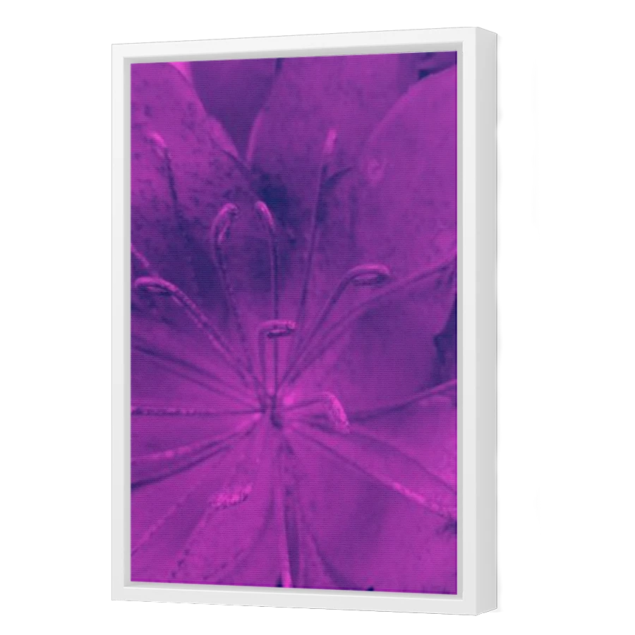 Thumbnail for Canvas - White Floating Frame