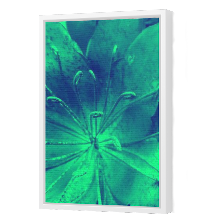Thumbnail for Canvas - White Floating Frame