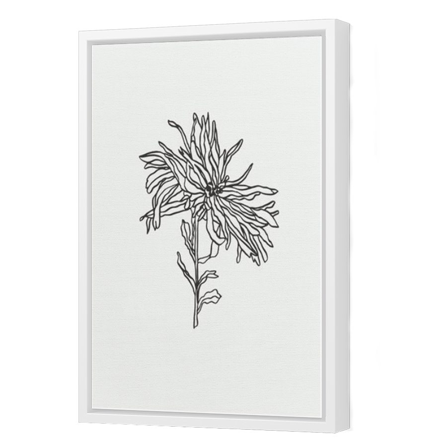 Thumbnail for Canvas - White Floating Frame