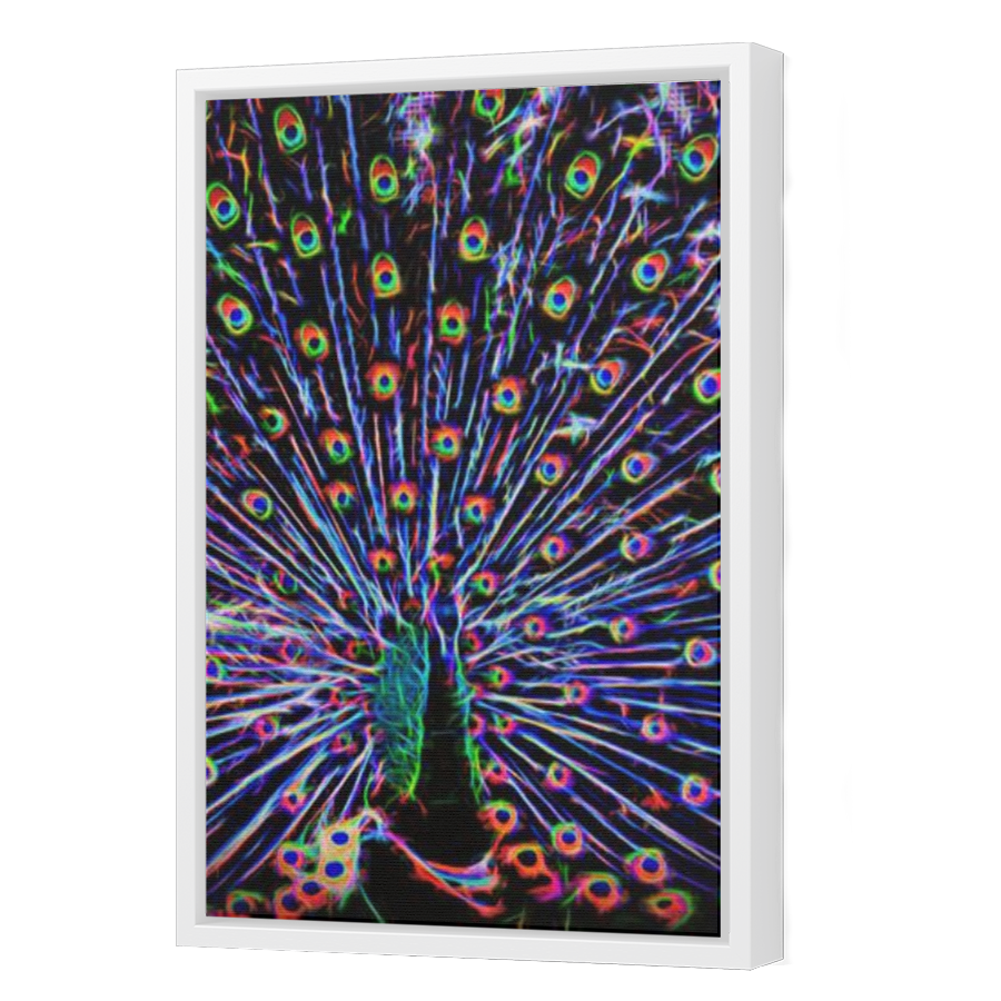 Thumbnail for Canvas - White Floating Frame