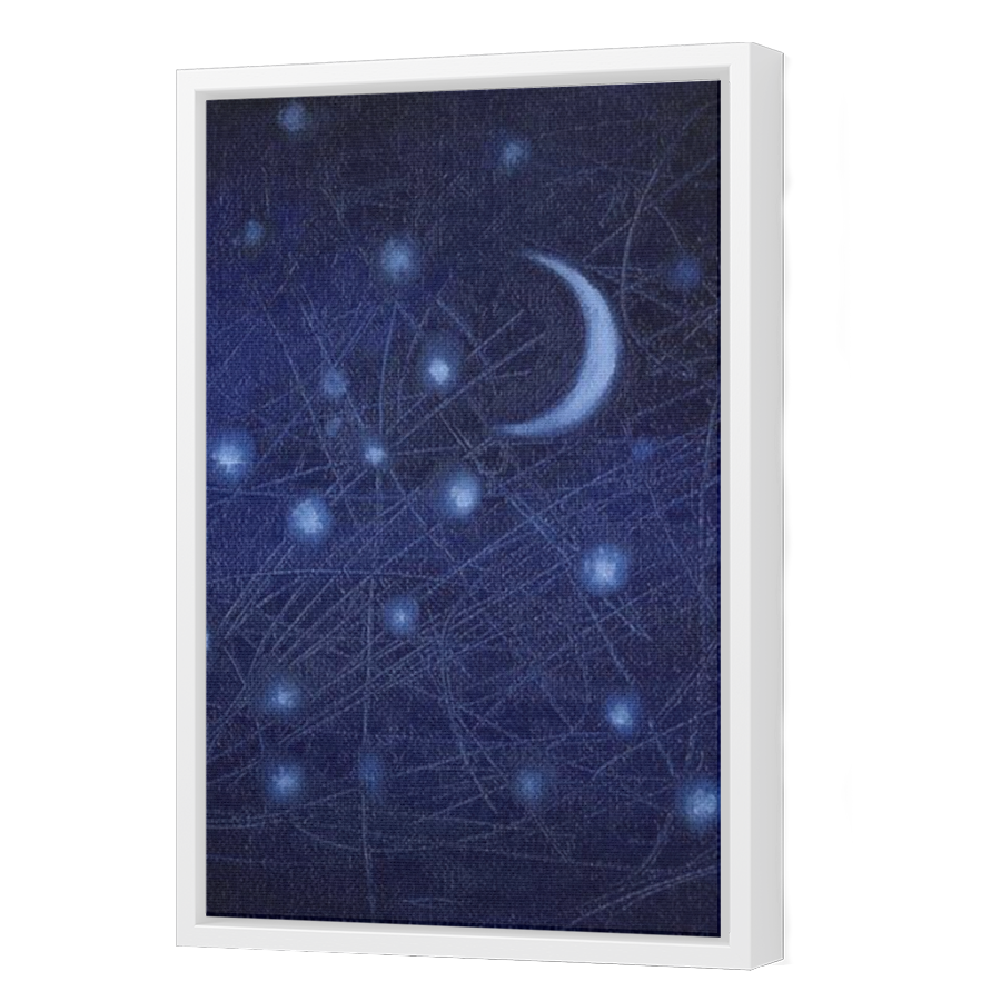 Thumbnail for Canvas - White Floating Frame