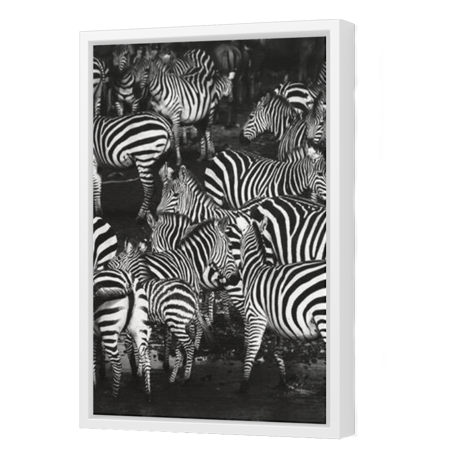 Thumbnail for Canvas - White Floating Frame