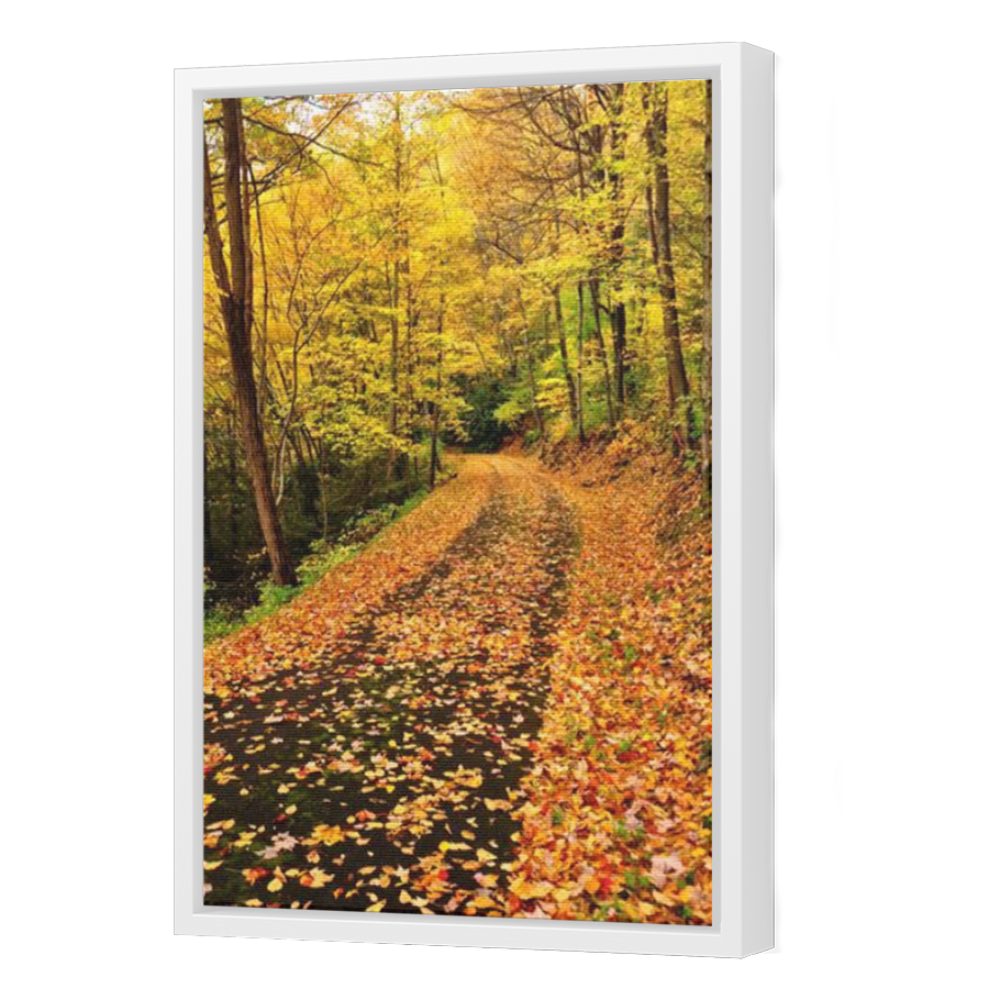 Thumbnail for Canvas - White Floating Frame