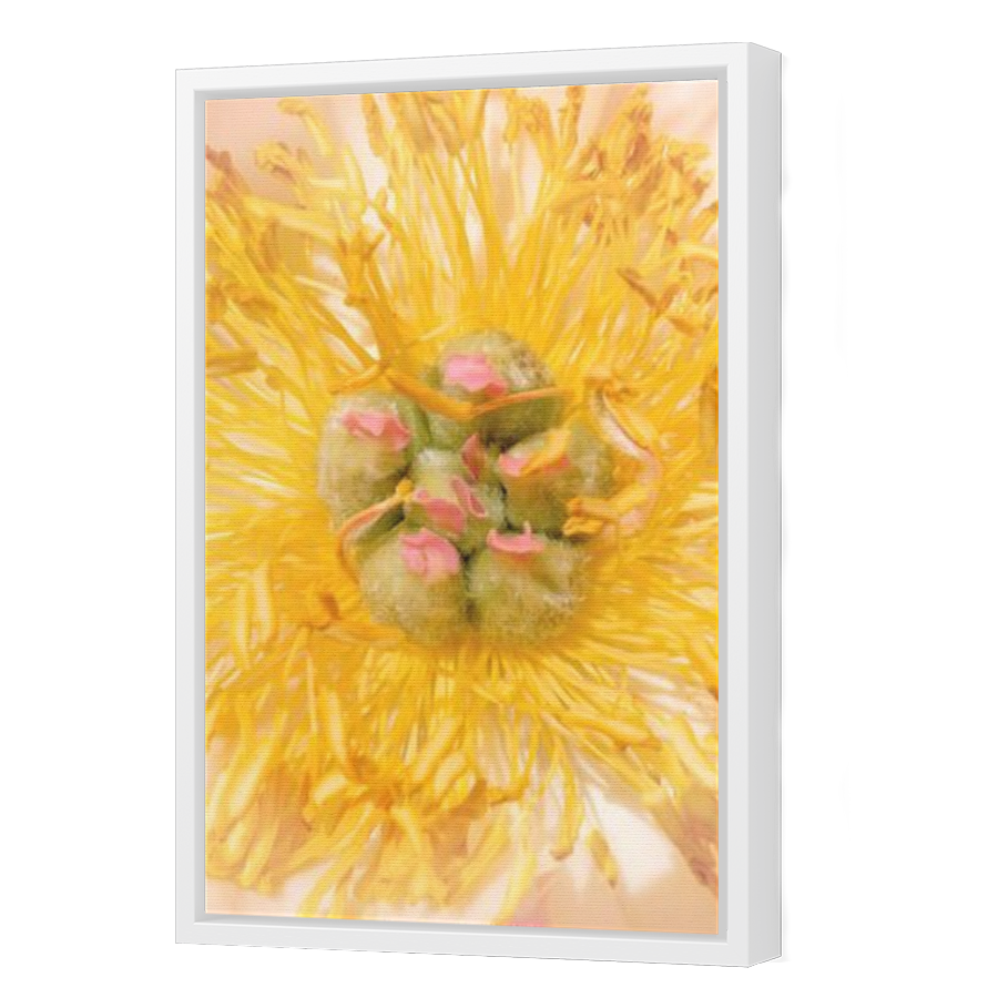 Thumbnail for Canvas - White Floating Frame