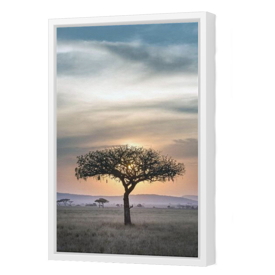 Thumbnail for Canvas - White Floating Frame