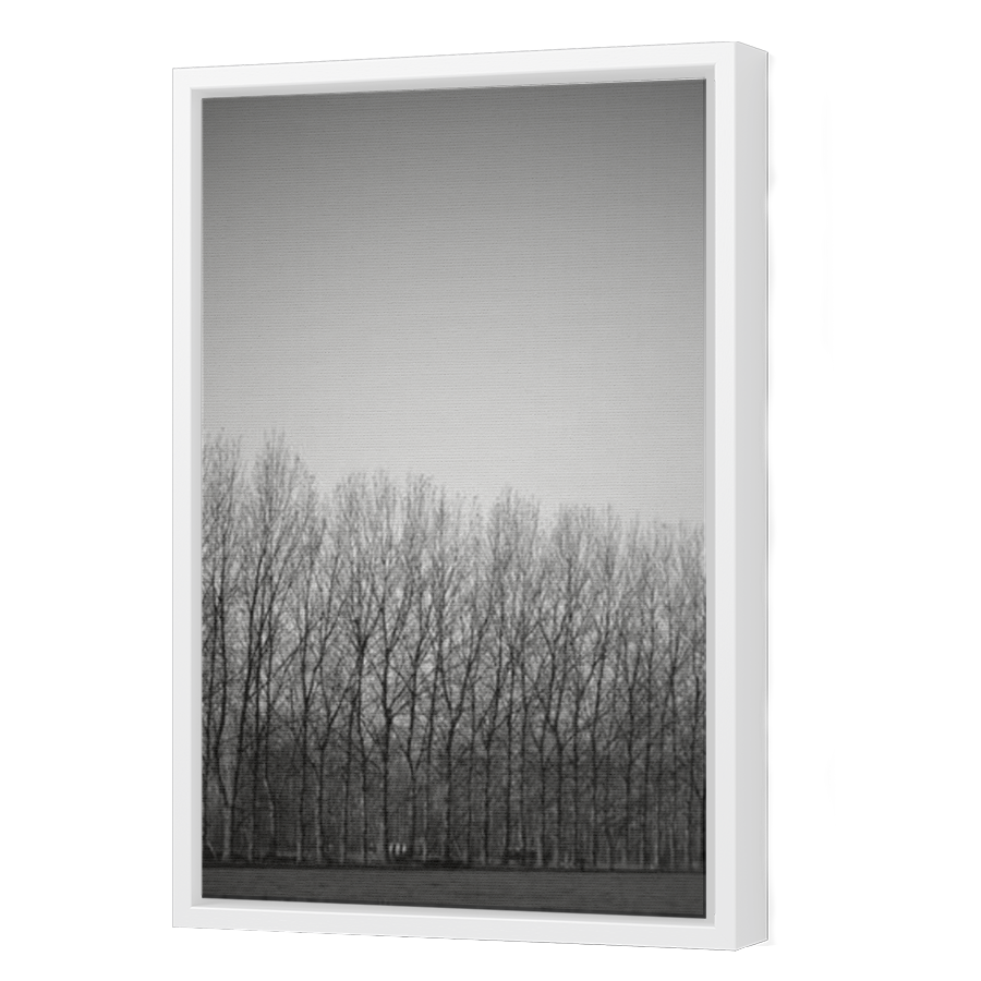 Thumbnail for Canvas - White Floating Frame