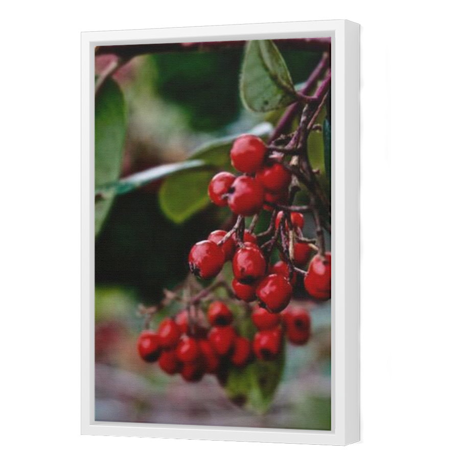 Thumbnail for Canvas - White Floating Frame
