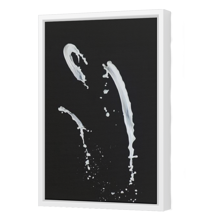 Thumbnail for Canvas - White Floating Frame
