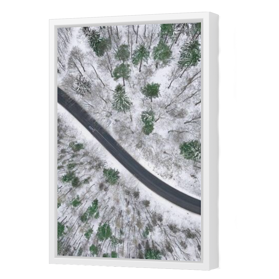 Thumbnail for Canvas - White Floating Frame