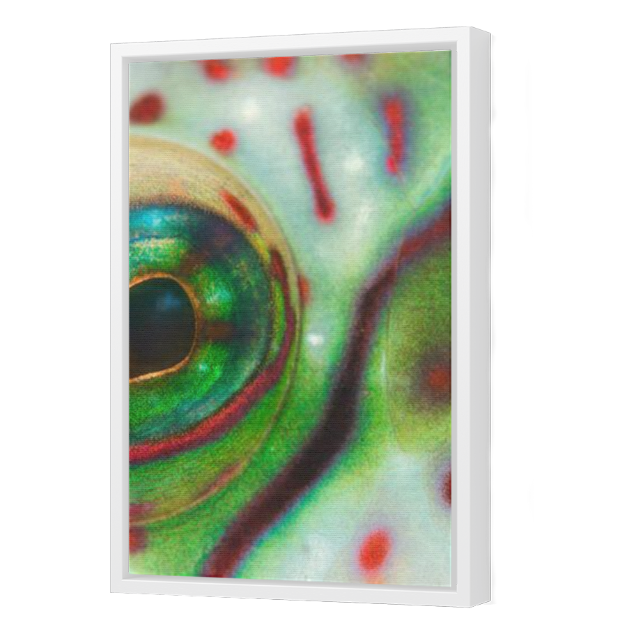 Thumbnail for Canvas - White Floating Frame