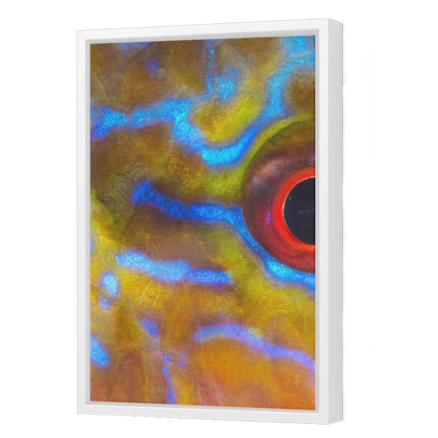 Thumbnail for Canvas - White Floating Frame