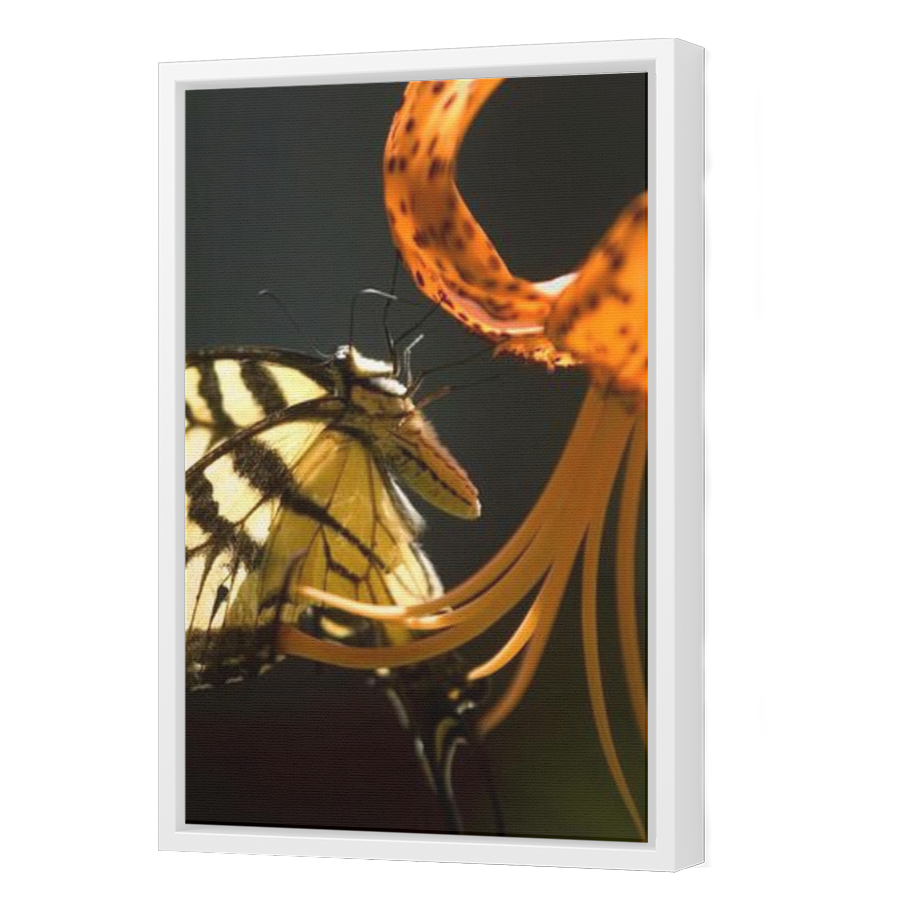 Thumbnail for Canvas - White Floating Frame