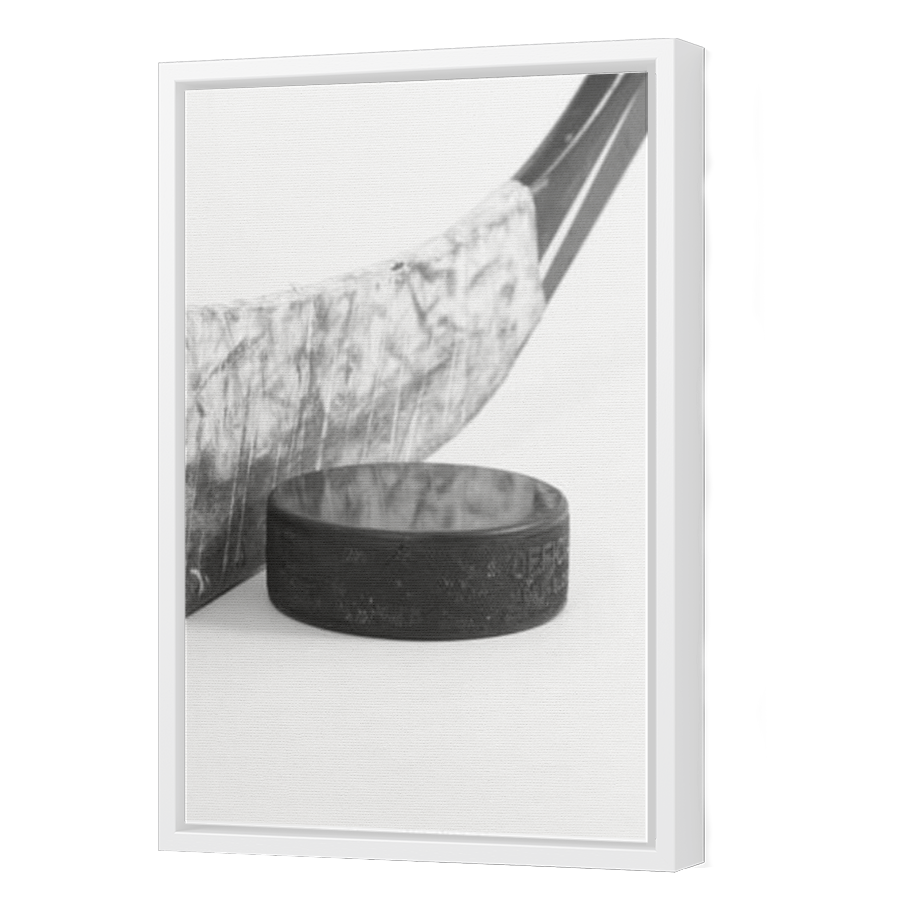 Thumbnail for Canvas - White Floating Frame