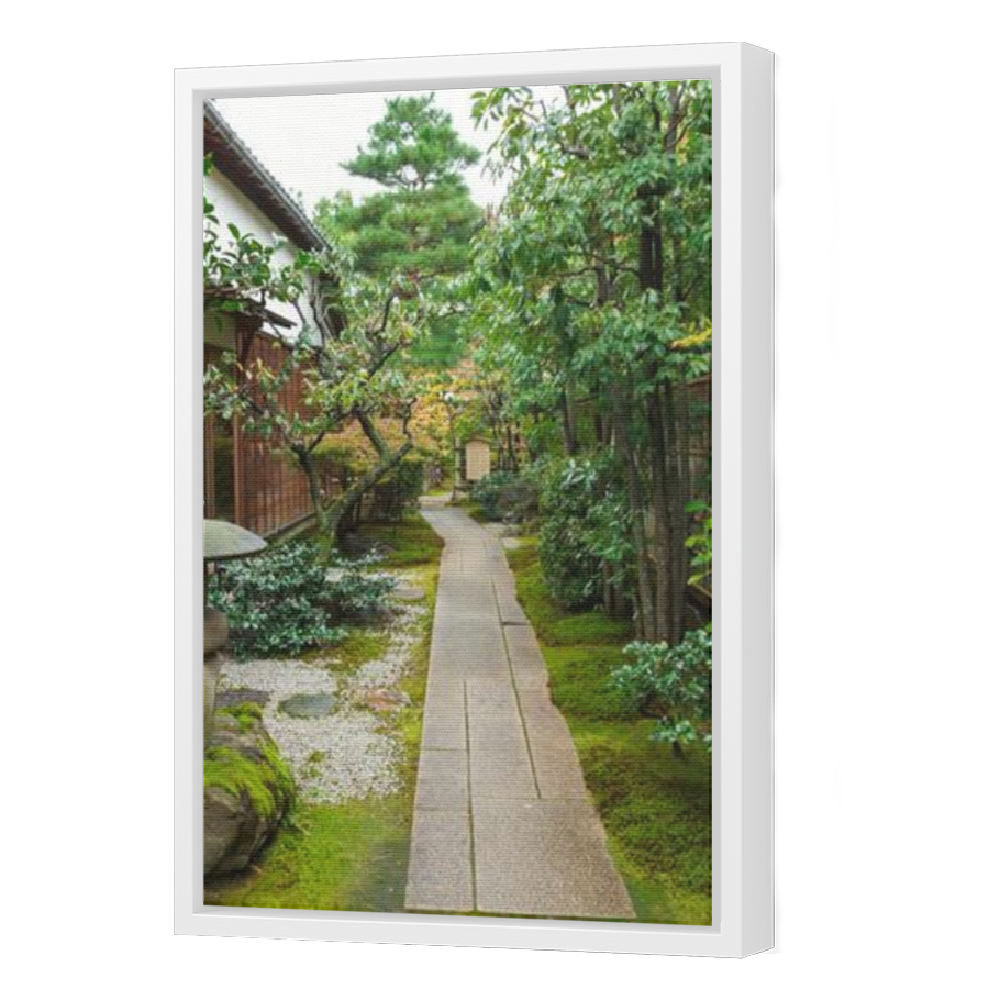 Thumbnail for Canvas - White Floating Frame