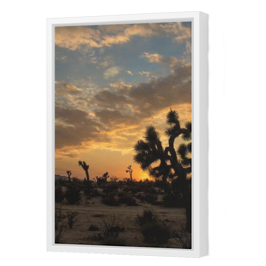 Thumbnail for Canvas - White Floating Frame