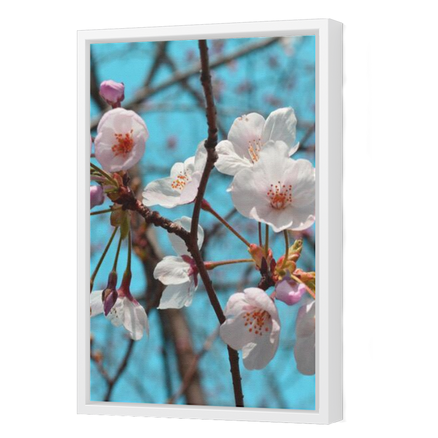 Thumbnail for Canvas - White Floating Frame