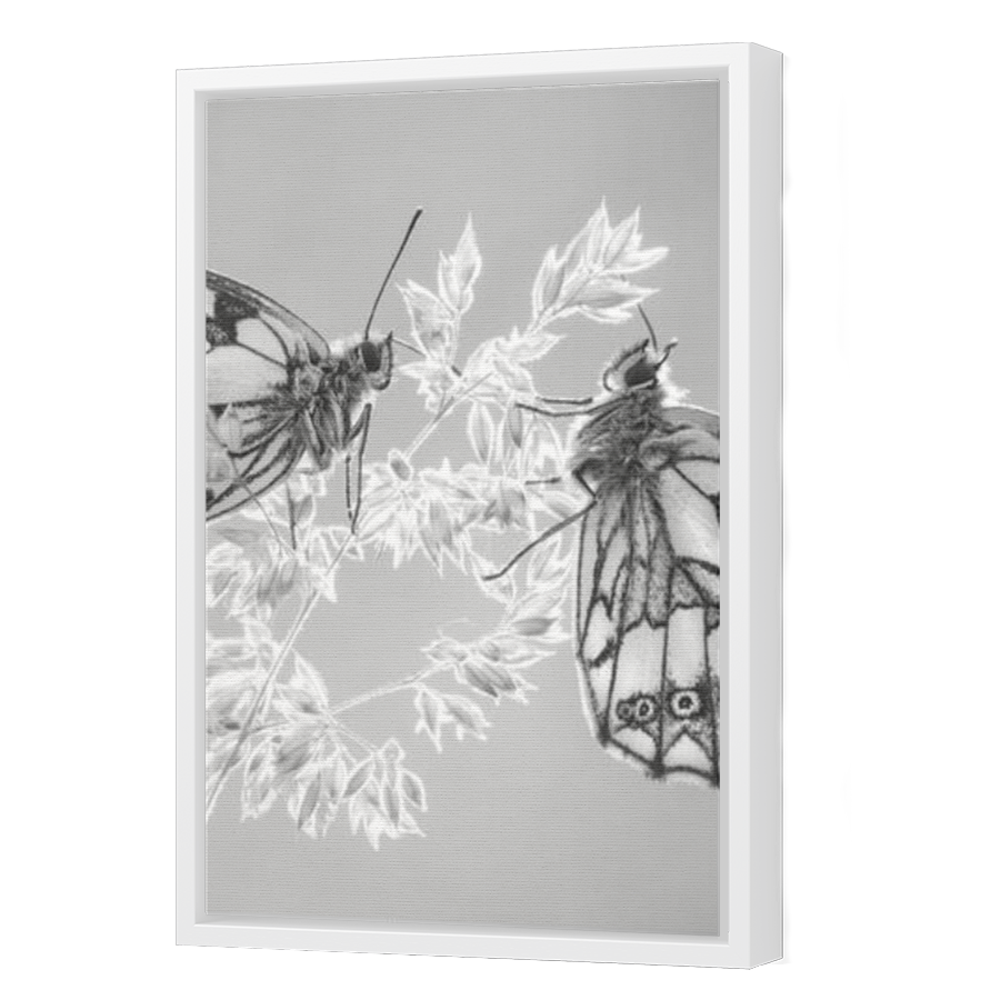 Thumbnail for Canvas - White Floating Frame