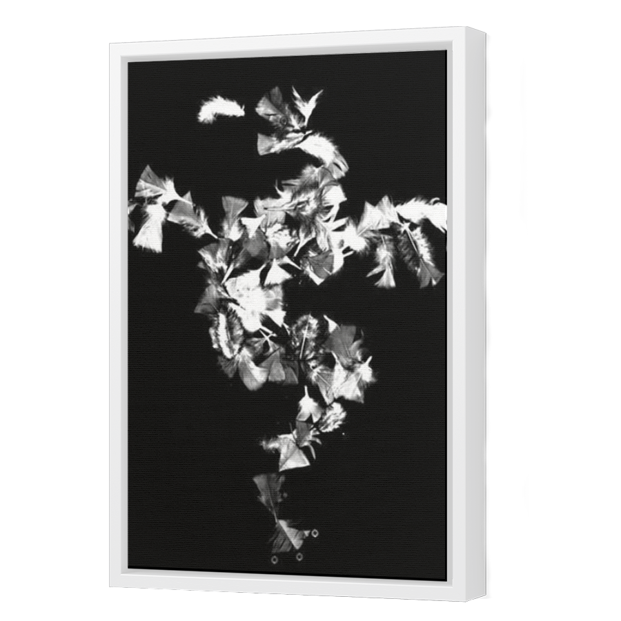 Thumbnail for Canvas - White Floating Frame