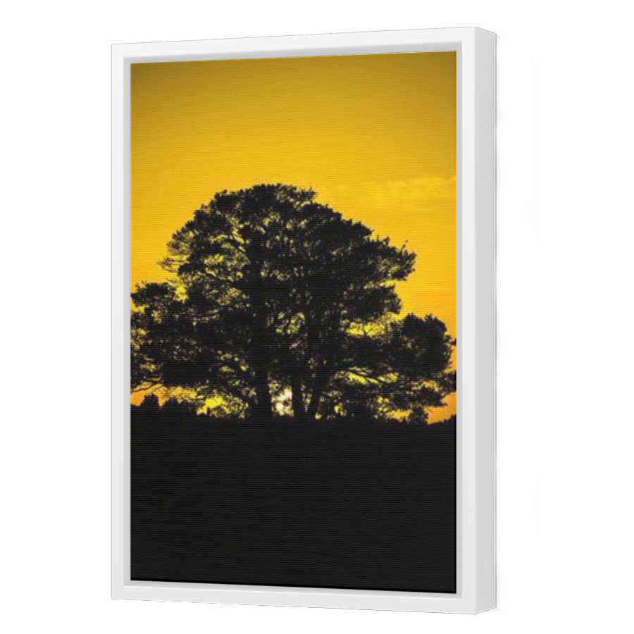 Thumbnail for Canvas - White Floating Frame