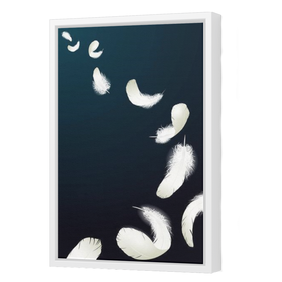 Thumbnail for Canvas - White Floating Frame