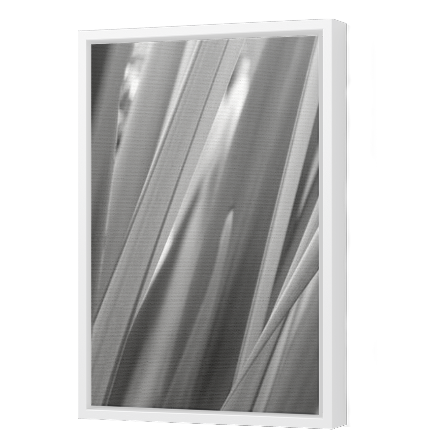 Thumbnail for Canvas - White Floating Frame